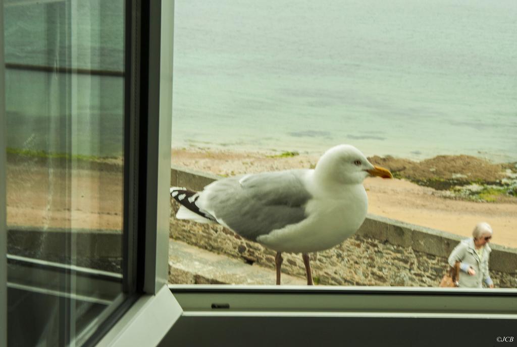 Hotel La Porte Saint Pierre-Logis Hotel Intra Muros Eksteriør billede
